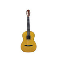 Acoustic Guitar Manufacturer Supplier Wholesale Exporter Importer Buyer Trader Retailer in Ghaziabad Uttar Pradesh India